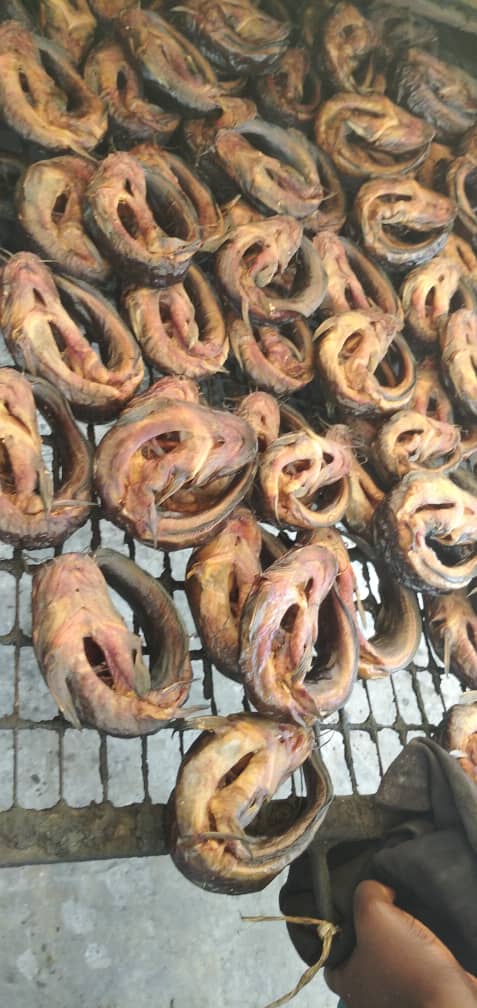 Product image -  Dried African catfish fresh from the oven!